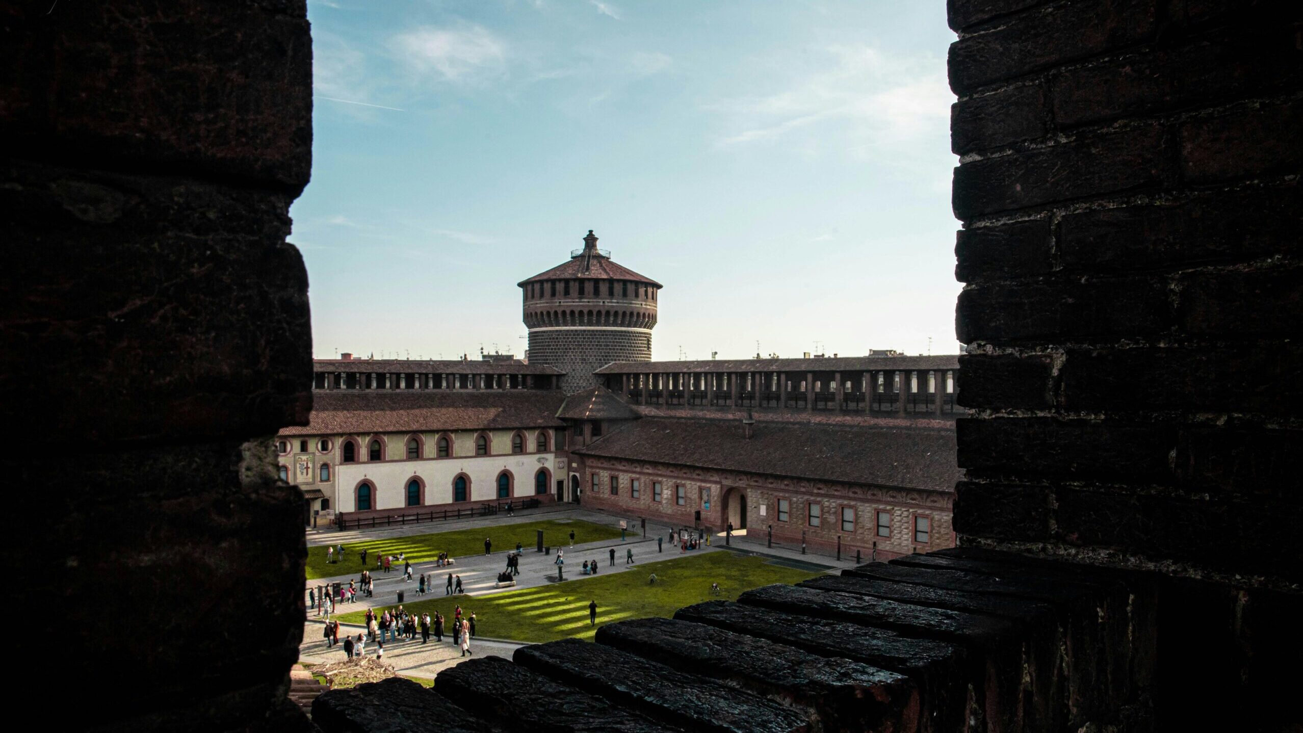 pexels-photo-16732385-16732385