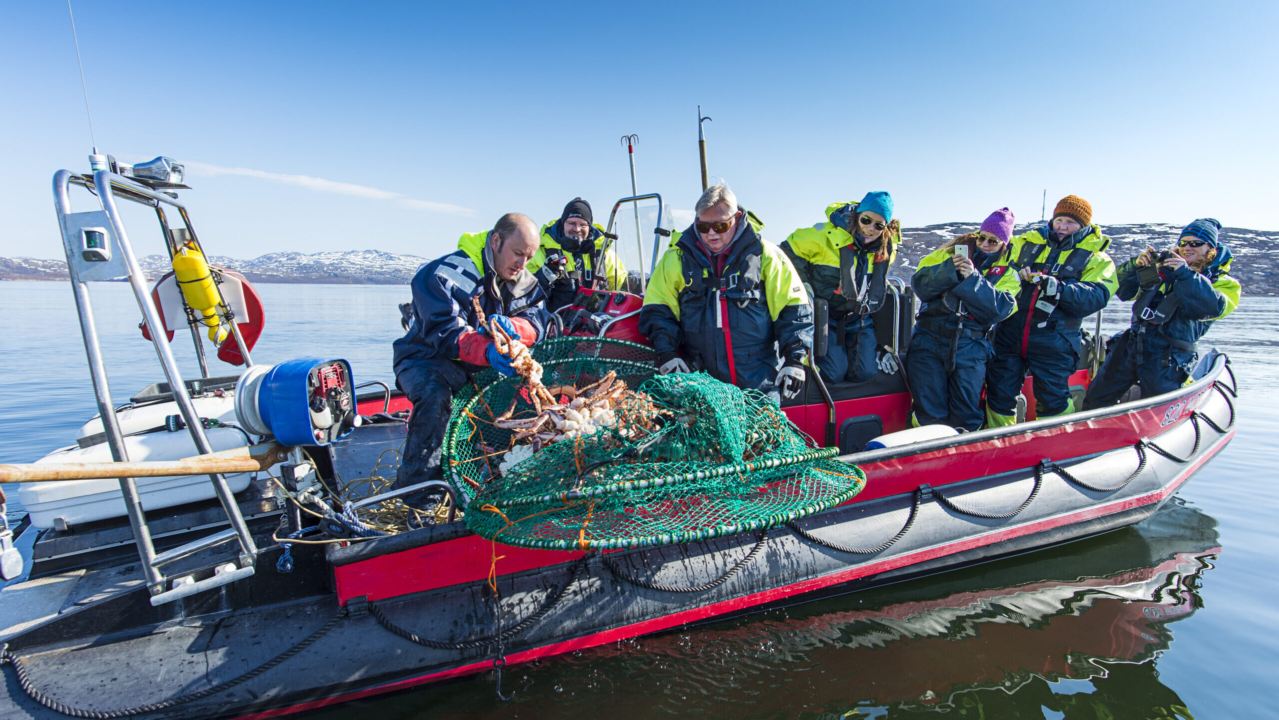 Kongekrabbe safari Hurtigruten Photo Ørjan Bertelsen