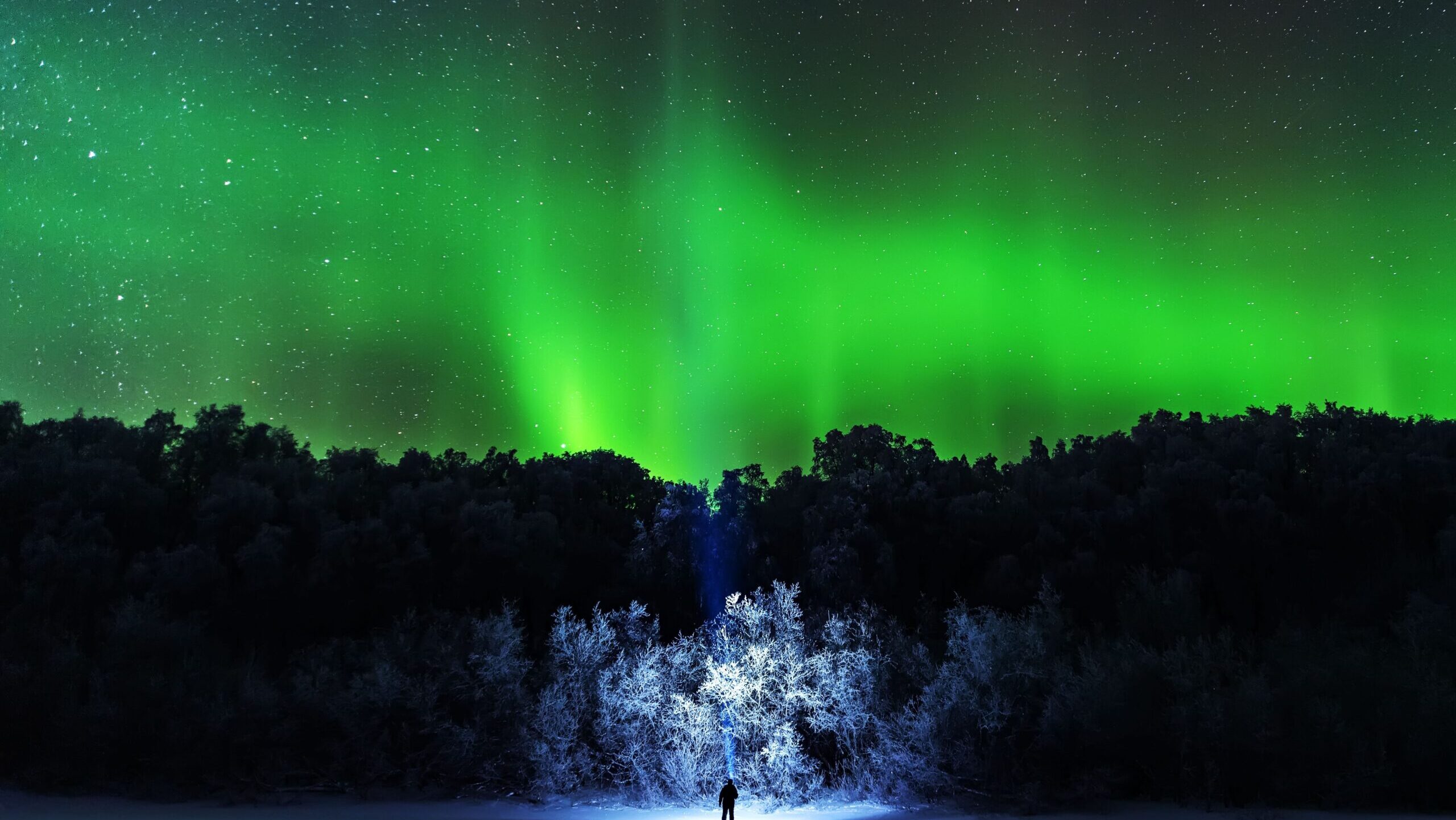 Mesmerizing aurora borealis illuminating a snow-covered forest in Naryan-Mar, Russia.